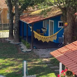 Madu , Bombinhas Brasil